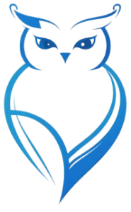 Sapientia owl